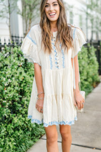 Style The Girl White and Blue Embroidered Dress